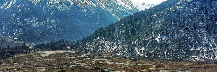 Chopta Valley